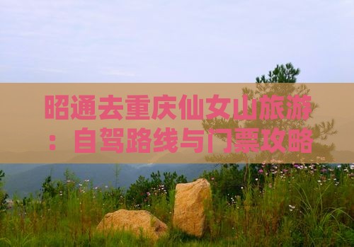 昭通去重庆仙女山旅游：自驾路线与门票攻略