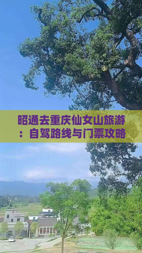昭通去重庆仙女山旅游：自驾路线与门票攻略