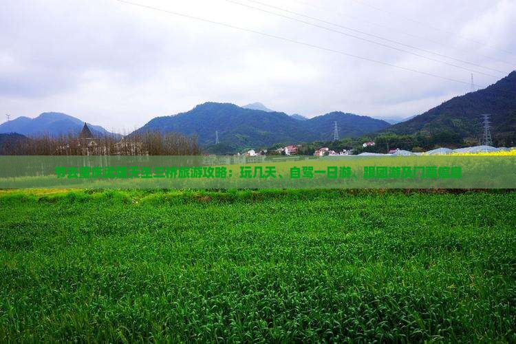 节去重庆武隆天生三桥旅游攻略：玩几天、自驾一日游、跟团游及门票信息