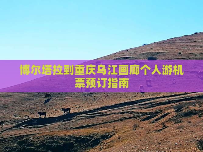 博尔塔拉到重庆乌江画廊个人游机票预订指南