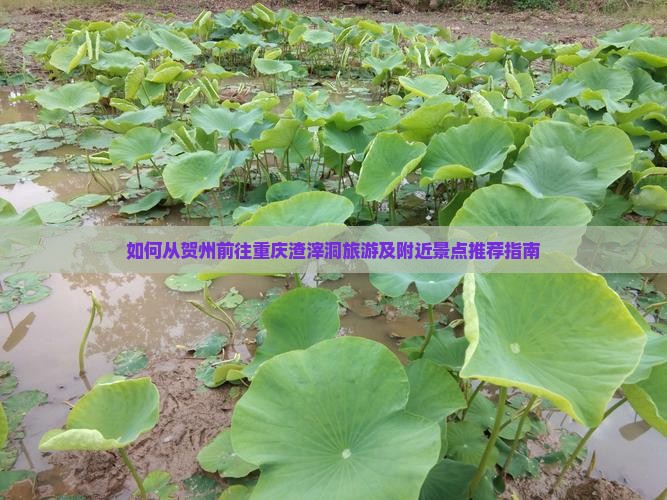 如何从贺州前往重庆渣滓洞旅游及附近景点推荐指南