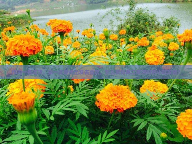 作为一名吃货，第一次衢州出发去重庆，怎么安排两江夜游时的小吃攻略？