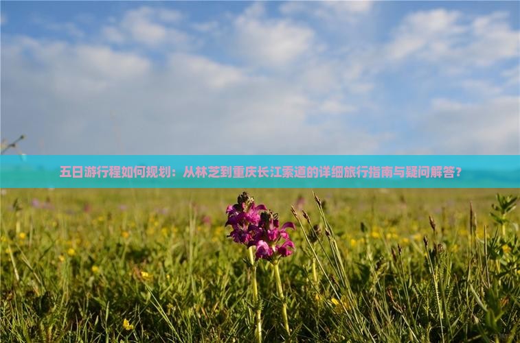 五日游行程如何规划：从林芝到重庆长江索道的详细旅行指南与疑问解答？