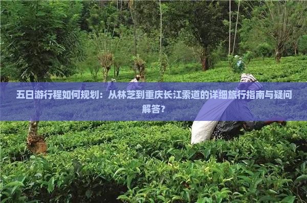 五日游行程如何规划：从林芝到重庆长江索道的详细旅行指南与疑问解答？