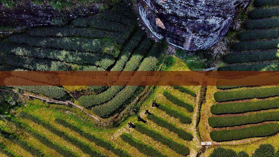 三天的奇幻旅程：资阳出发，重庆WFC观景台的震撼之美！