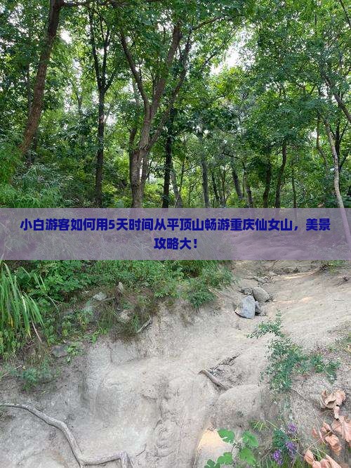 小白游客如何用5天时间从平顶山畅游重庆仙女山，美景攻略大！