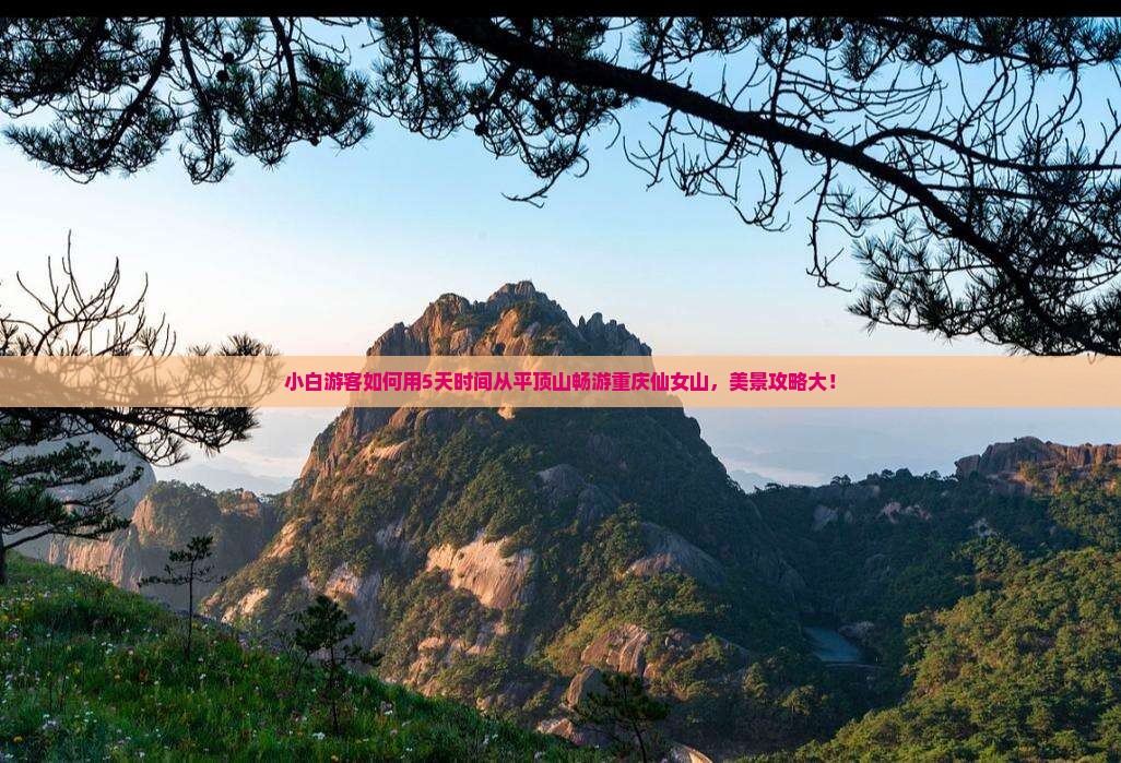 小白游客如何用5天时间从平顶山畅游重庆仙女山，美景攻略大！