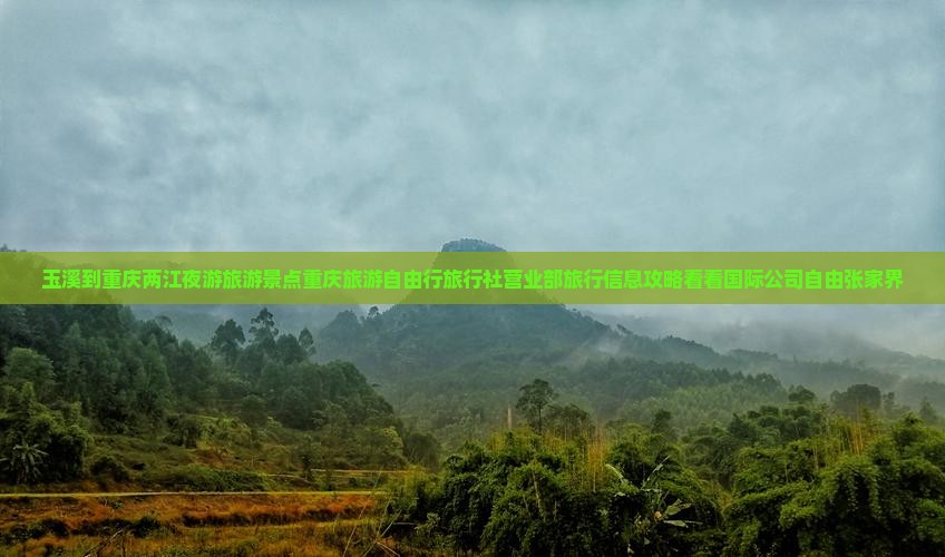 玉溪到重庆两江夜游旅游景点重庆旅游自由行旅行社营业部旅行信息攻略看看国际公司自由张家界