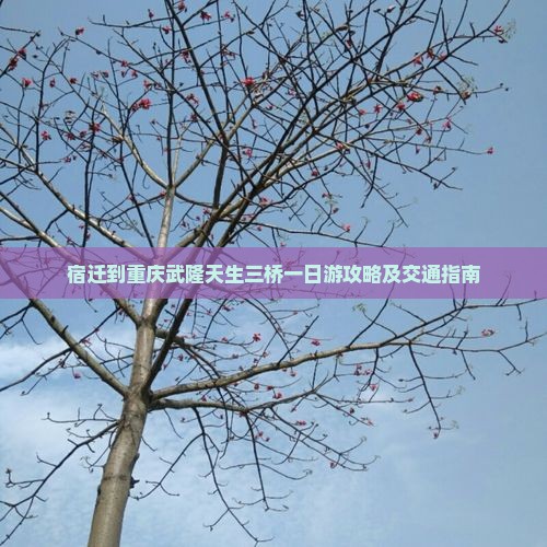 宿迁到重庆武隆天生三桥一日游攻略及交通指南