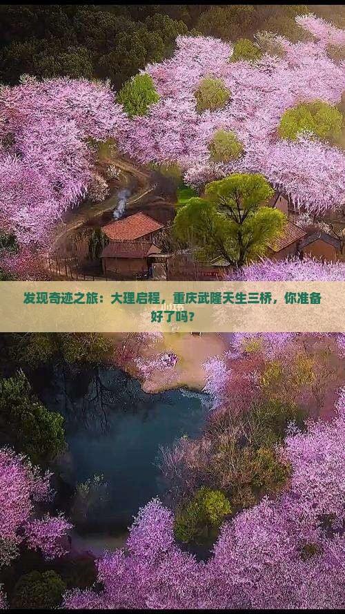 发现奇迹之旅：大理启程，重庆武隆天生三桥，你准备好了吗？
