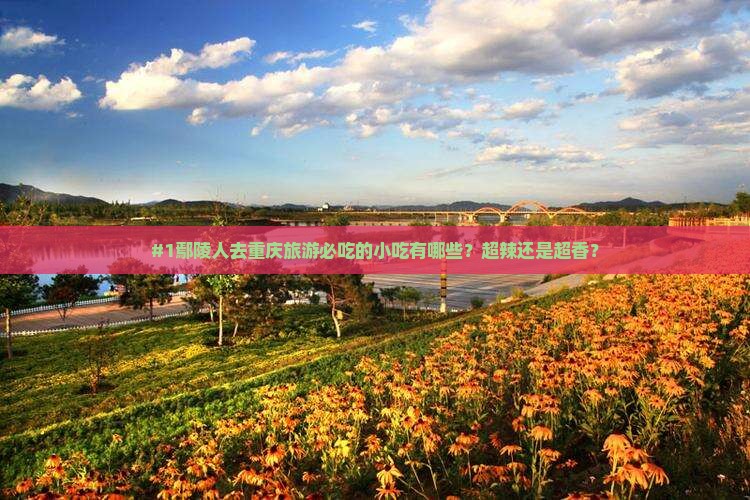 #1鄢陵人去重庆旅游必吃的小吃有哪些？超辣还是超香？