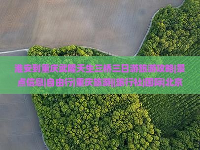 淮安到重庆武隆天生三桥三日游旅游攻略|景点信息|自由行|重庆旅游||旅行社|国际|北京|营业部旅行指南