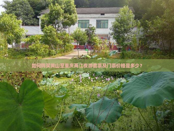 如何购买黄山至重庆两江夜游套票及门票价格是多少？