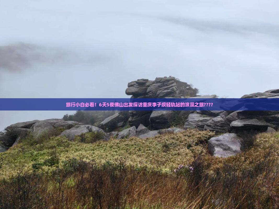 旅行小白必看！6天5夜佛山出发探访重庆李子坝轻轨站的浪漫之旅????