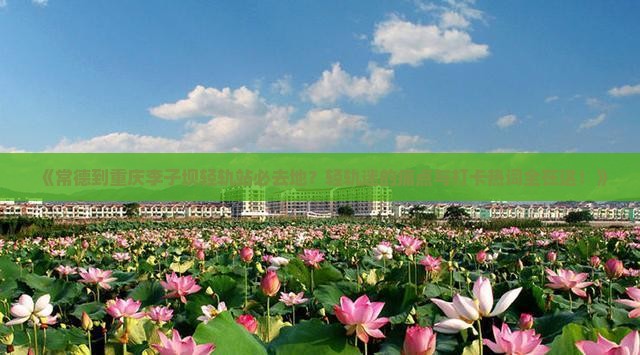 《常德到重庆李子坝轻轨站必去地？轻轨迷的痛点与打卡热词全在这！》