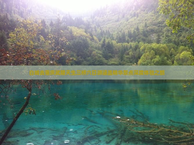 白城去重庆武隆天生三桥六日游涵盖精华景点深度体验之旅