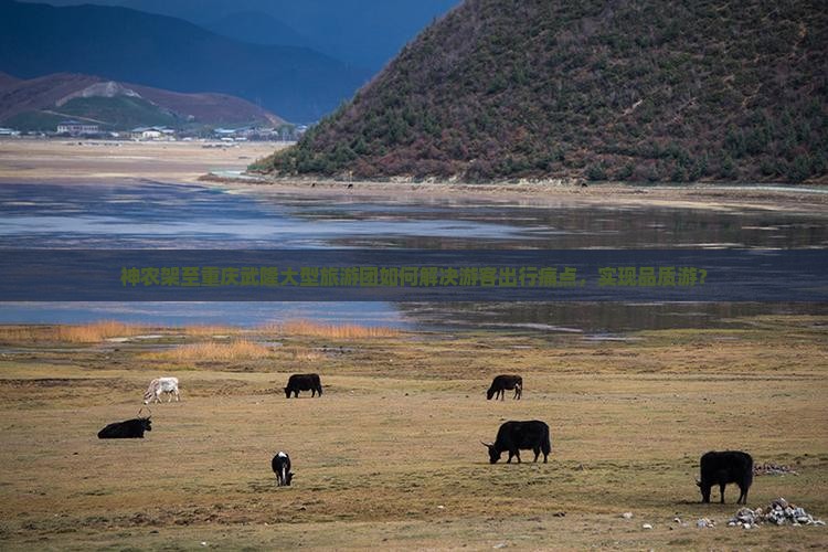 神农架至重庆武隆大型旅游团如何解决游客出行痛点，实现品质游？