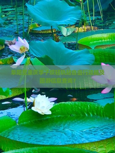 阜阳至重庆李子坝轻轨站自由行攻略及团游信息查询？