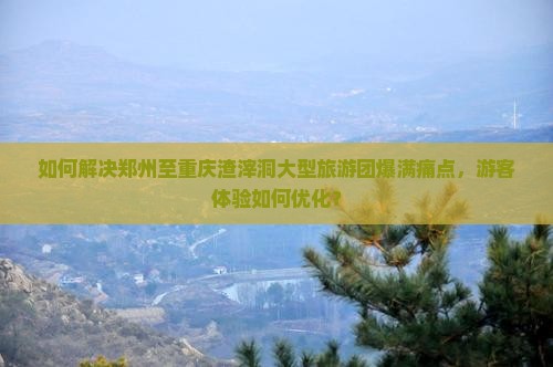 如何解决郑州至重庆渣滓洞大型旅游团爆满痛点，游客体验如何优化？