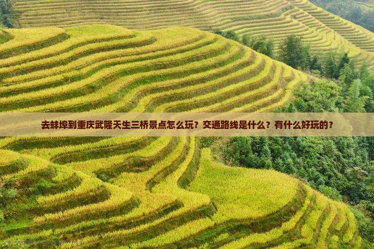 去蚌埠到重庆武隆天生三桥景点怎么玩？交通路线是什么？有什么好玩的？