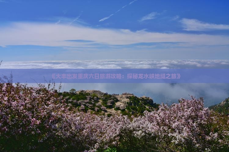 《大丰出发重庆六日旅游攻略：探秘龙水峡地缝之旅》