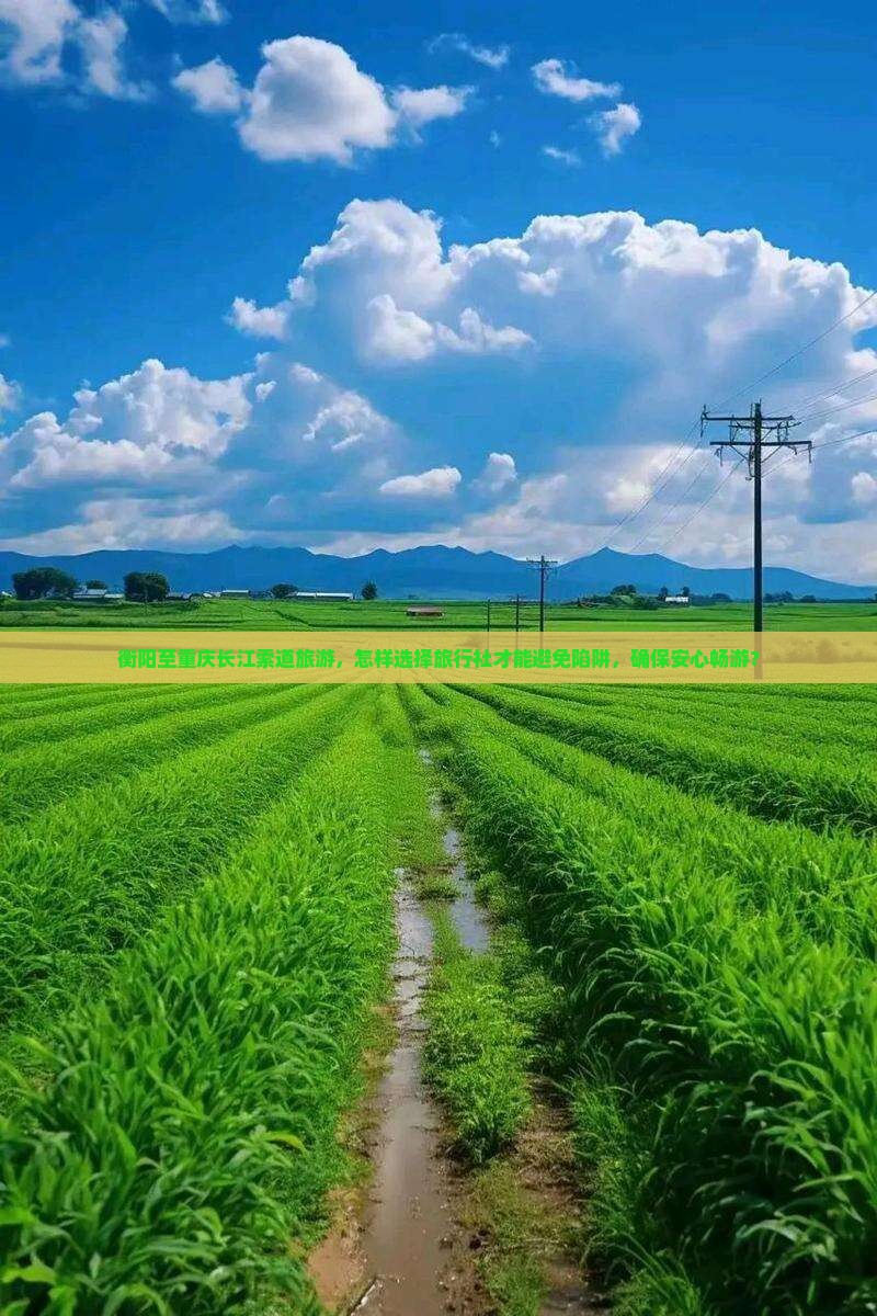 衡阳至重庆长江索道旅游，怎样选择旅行社才能避免陷阱，确保安心畅游？
