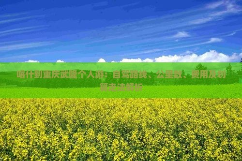 喀什到重庆武隆个人游：自驾路线、公里数、费用及划算走法解析
