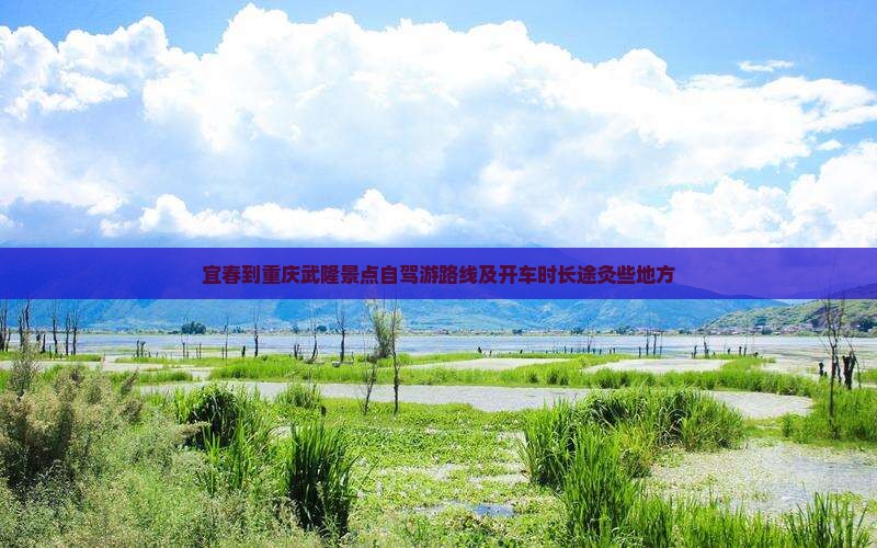 宜春到重庆武隆景点自驾游路线及开车时长途灸些地方