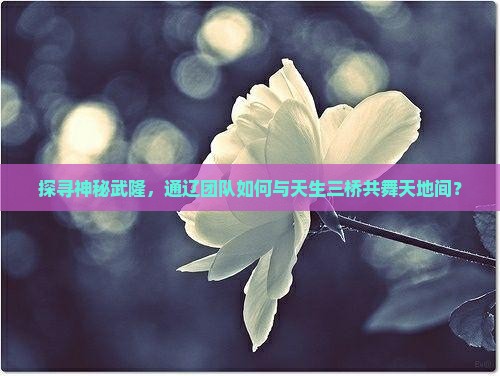 探寻神秘武隆,通辽团队如何与天生三桥共舞天地间? 探寻神秘武隆,通辽团队如何与天生三桥共舞天地间?