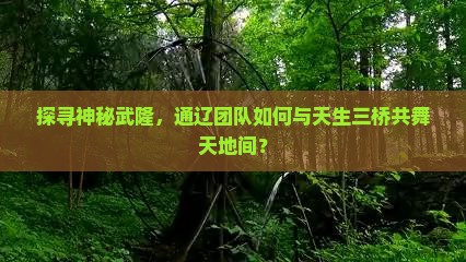 探寻神秘武隆,通辽团队如何与天生三桥共舞天地间? 探寻神秘武隆,通辽团队如何与天生三桥共舞天地间?