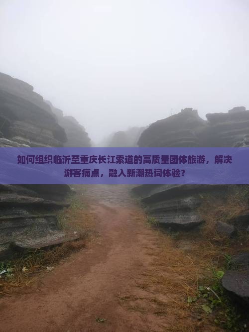 如何组织临沂至重庆长江索道的高质量团体旅游，解决游客痛点，融入新潮热词体验？