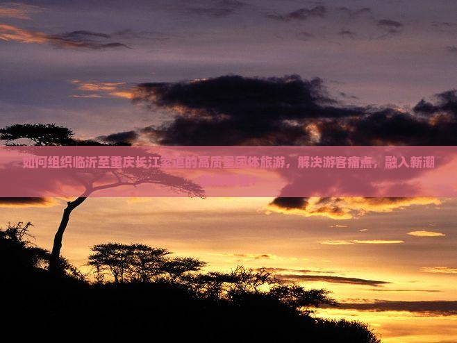 如何组织临沂至重庆长江索道的高质量团体旅游，解决游客痛点，融入新潮热词体验？