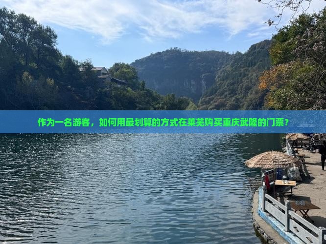 作为一名游客，如何用最划算的方式在莱芜购买重庆武隆的门票？