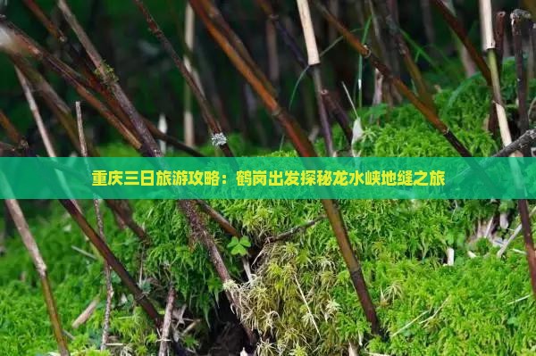 重庆三日旅游攻略：鹤岗出发探秘龙水峡地缝之旅