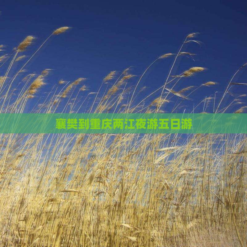襄樊到重庆两江夜游五日游