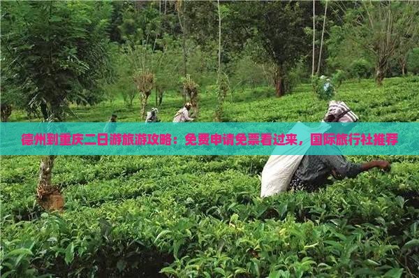 德州到重庆二日游旅游攻略：免费申请免票看过来，国际旅行社推荐