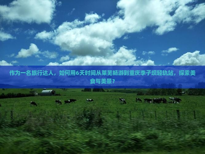 作为一名旅行达人，如何用6天时间从莱芜畅游到重庆李子坝轻轨站，探索美食与美景？