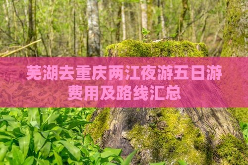 芜湖去重庆两江夜游五日游费用及路线汇总