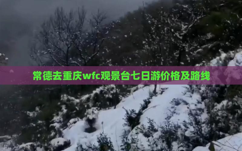 常德去重庆wfc观景台七日游