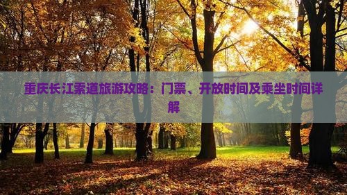 荆门到重庆长江索道门票