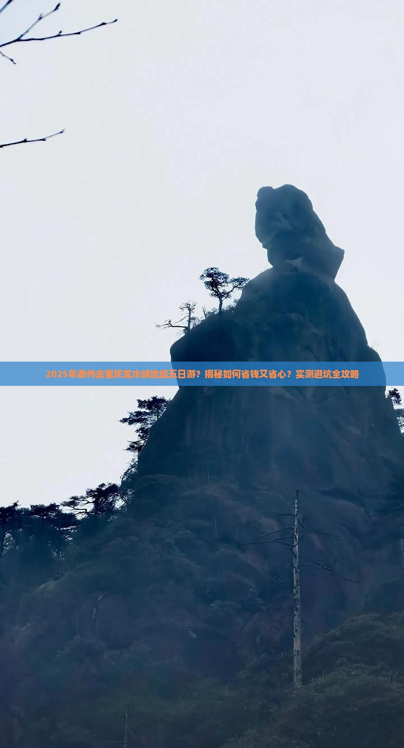 泰州去重庆龙水峡地缝五日游