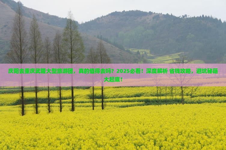庆阳去重庆武隆大型旅游团