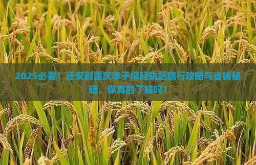 迁安到重庆李子坝轻轨站旅行社