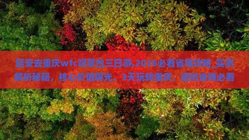 延安去重庆wfc观景台三日游 延安去重庆wfc观景台三日游
