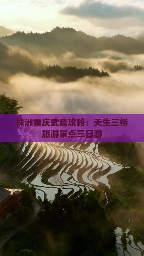 株洲去重庆武隆天生三桥三日游