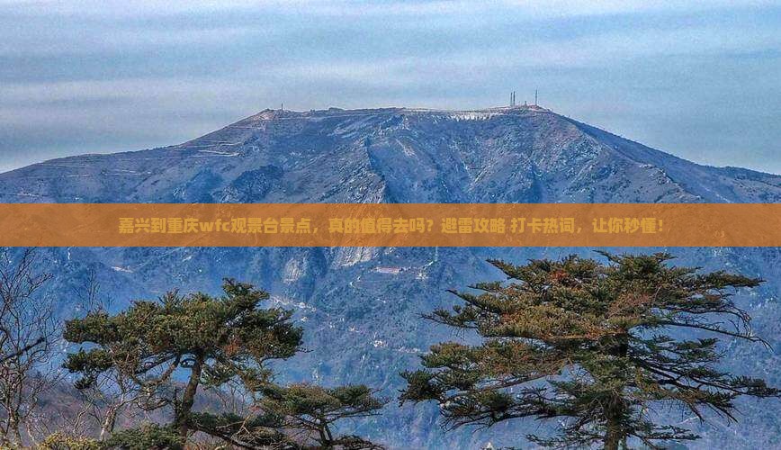 嘉兴到重庆wfc观景台景点