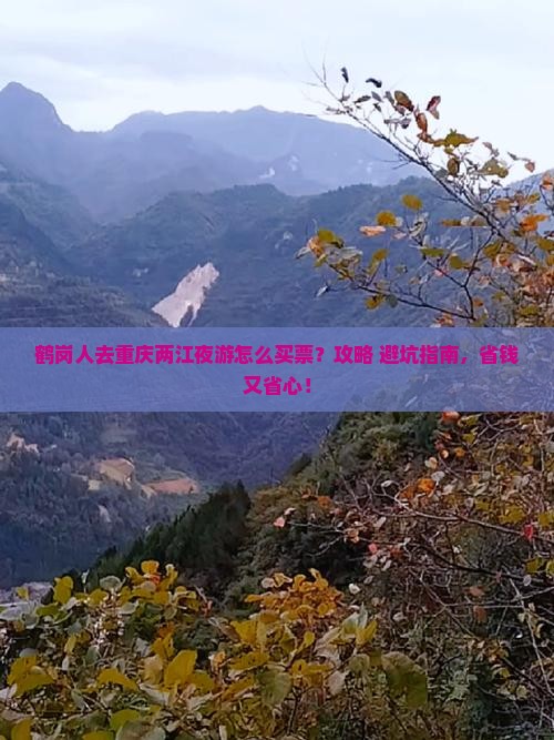 鹤岗去重庆两江夜游门票