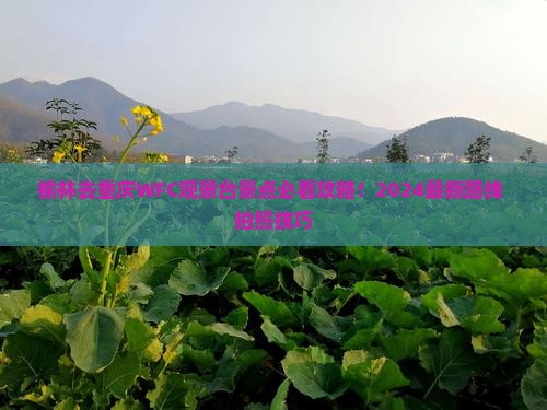 榆林去重庆wfc观景台景点
