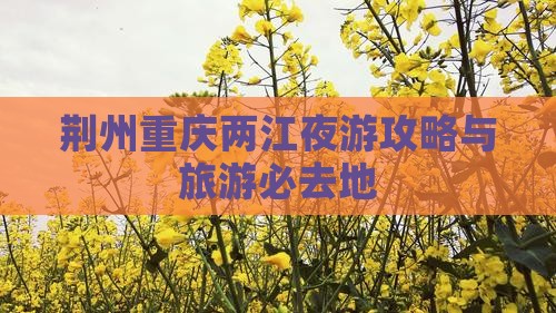 荆州去重庆两江夜游必去地