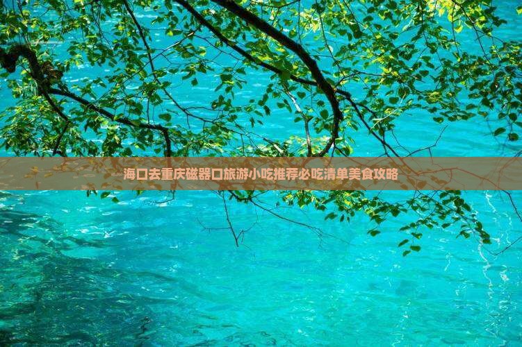 海口去重庆磁器口旅游小吃